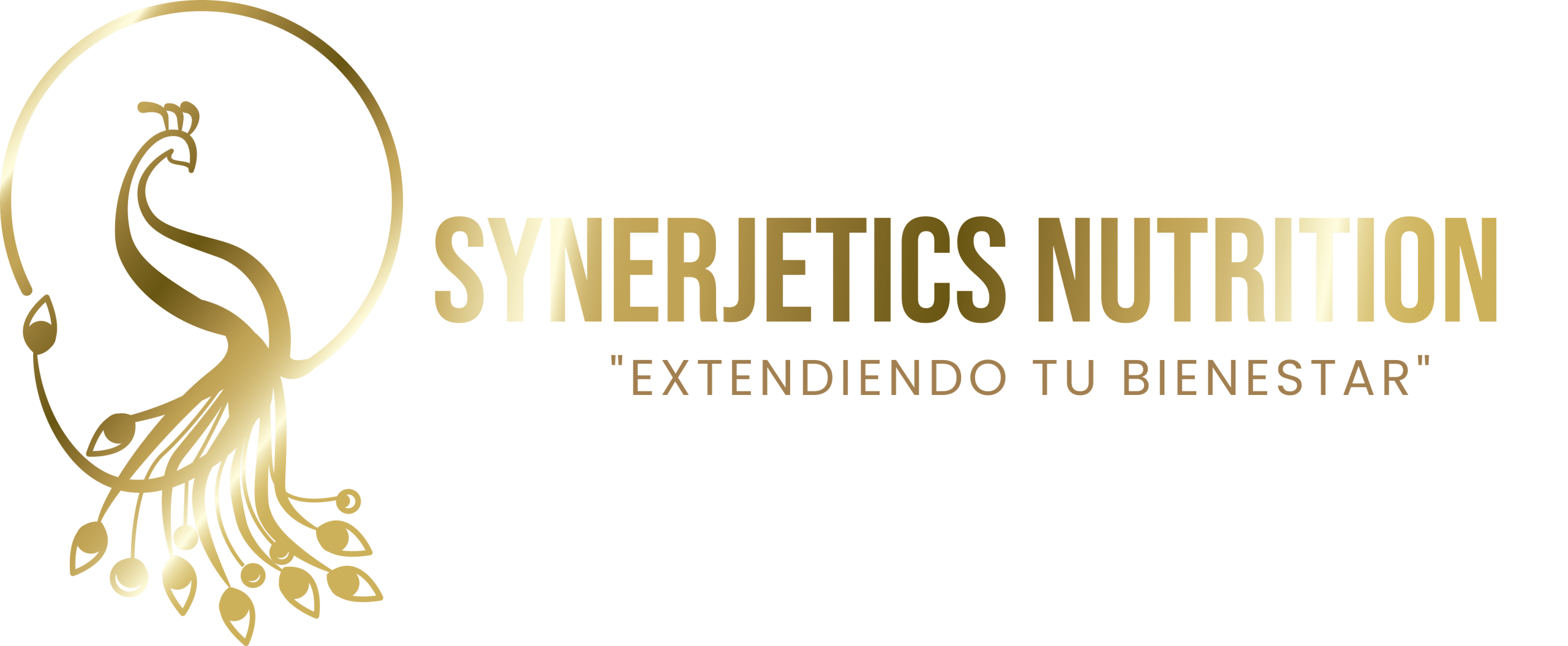SYNERJETICS