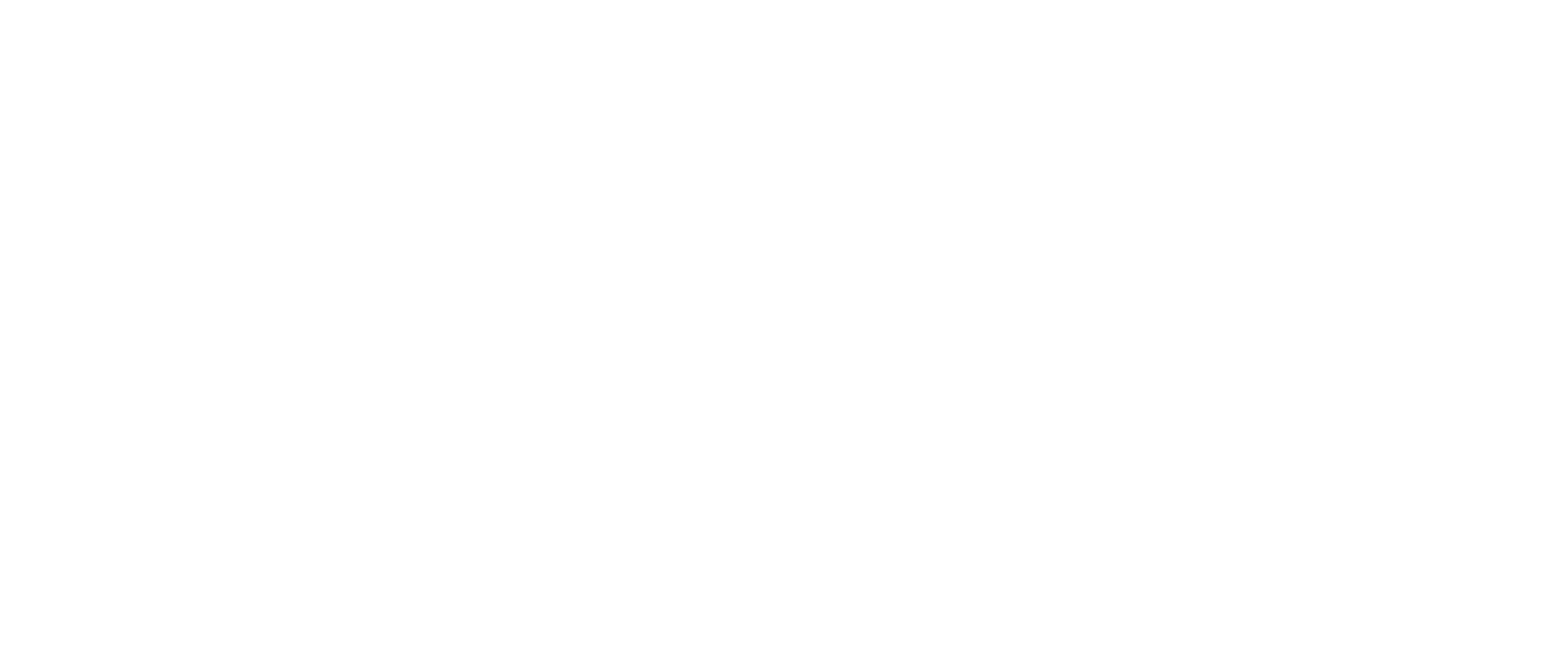 SYNERJETICS